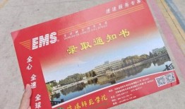 新闻爆料秘籍大全最新,掌握独家信息，成为舆论风向标