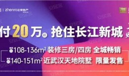 武汉热点爆料事件视频,揭秘XX真相，引发全网热议